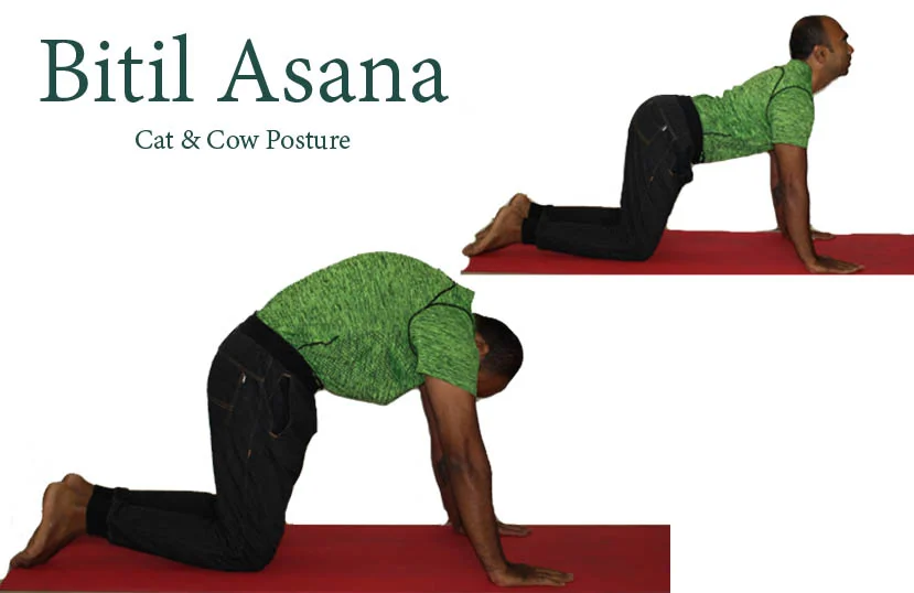bitil asana for constipation