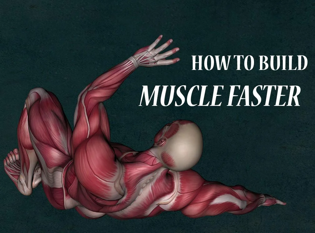 muscle building tips